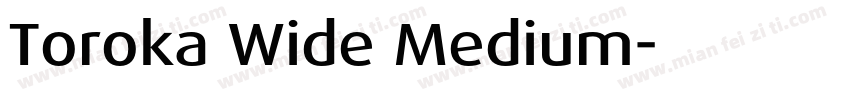 Toroka Wide Medium字体转换